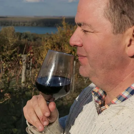 Vinarija Stojanovic Vakantiehuis Slankamen Vinogradi